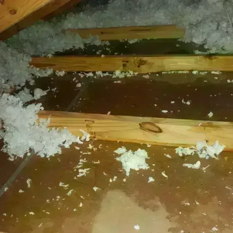 Attic Water Damage in Girard, OH