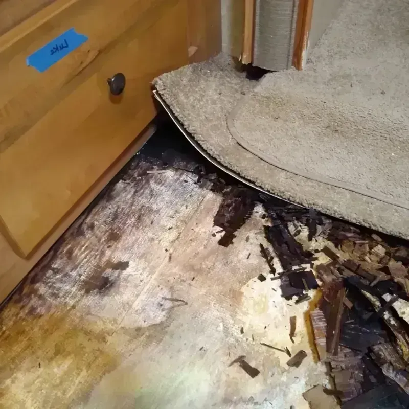 Wood Floor Water Damage in Girard, OH